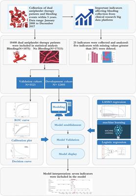 Machine learning derived model for the prediction of bleeding in dual antiplatelet therapy patients